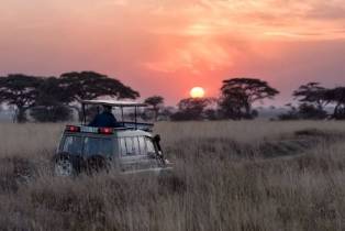 Choosing Your African Safari: A Comprehensive Guide