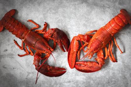 The Best Broiled Lobster Tail Recipe (Buttery Garlic Herb, Restaurant-Style)