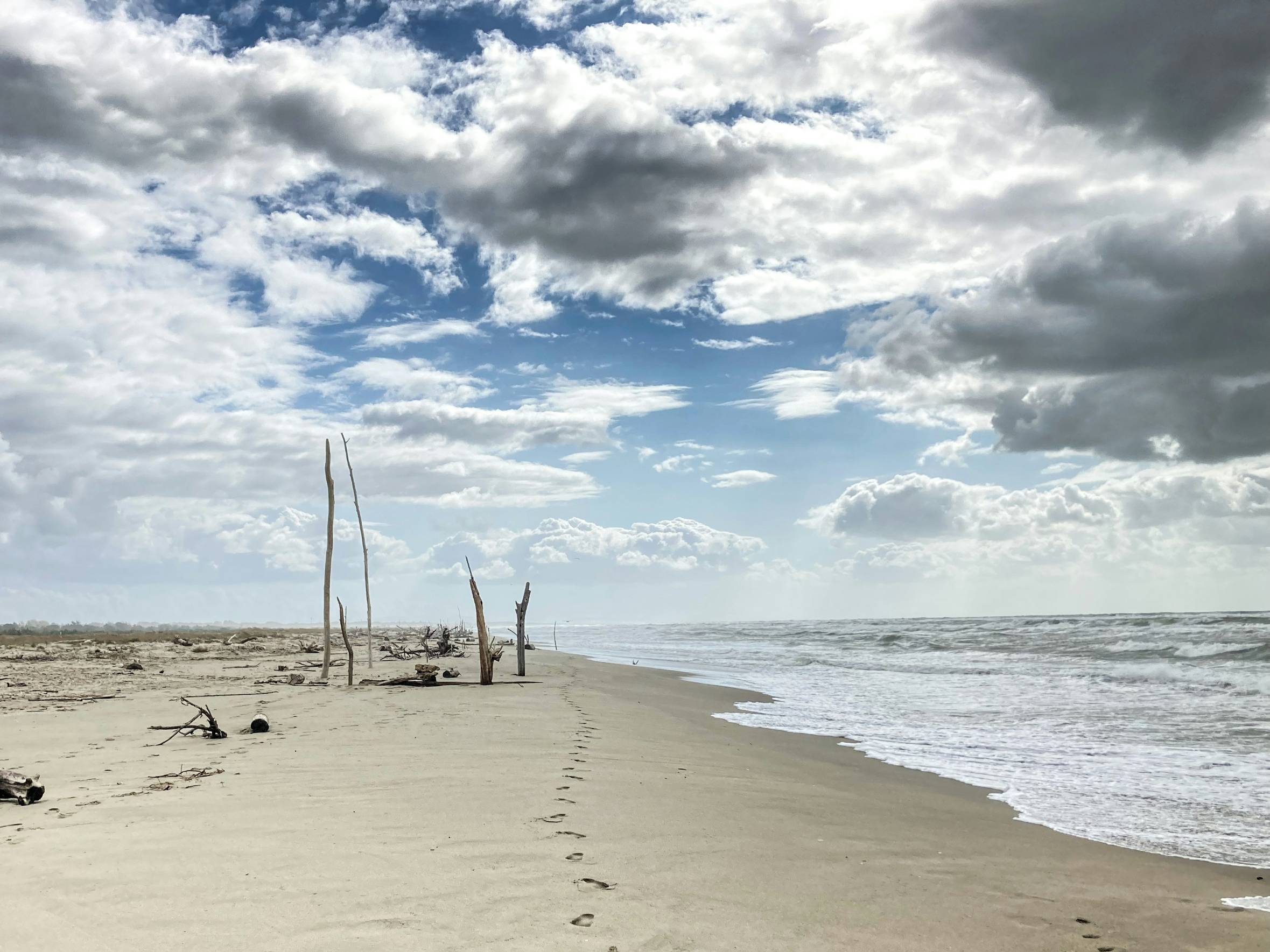a beach with a row of poles