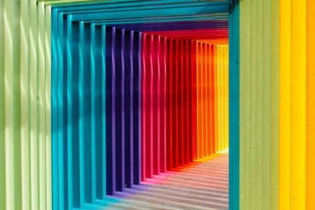 Most Essential Color Trends for Website Design: Soothing Palettes to Embrace