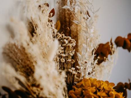 Complete Guide to Preserving Flowers: Techniques and DIY Decor