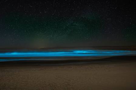 A Guide to Pingtan’s Blue Tears: Chasing the Bioluminescent Waves of July