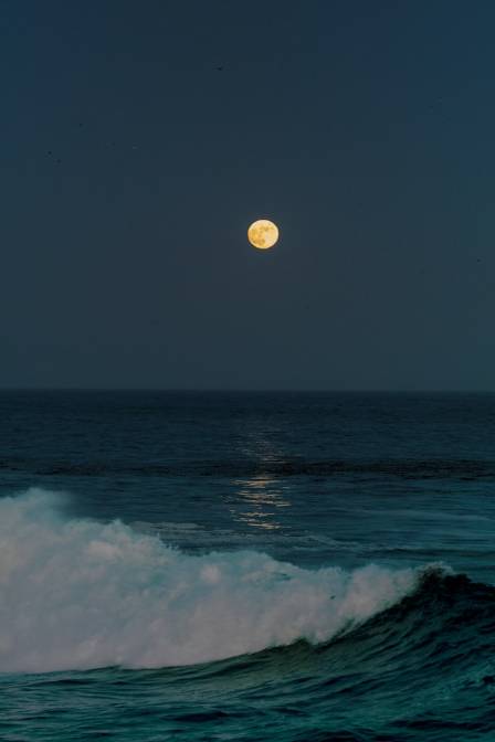 The Future of Earth's Tides: A Lunar Departure and Solar Fate