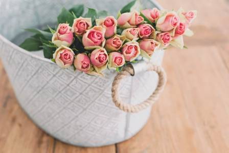 The 5 Most Enchanting Flowers on Earth