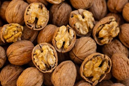 Health Benefits of Walnuts and How Much You Should Eat