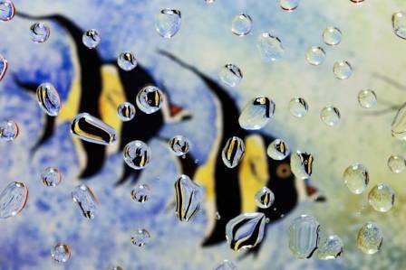 10 Artists Showcasing Underwater Art on iCanvas