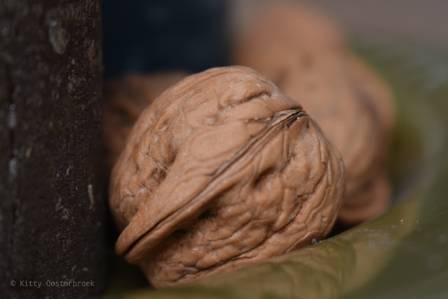 The Art of Walnut Carving 