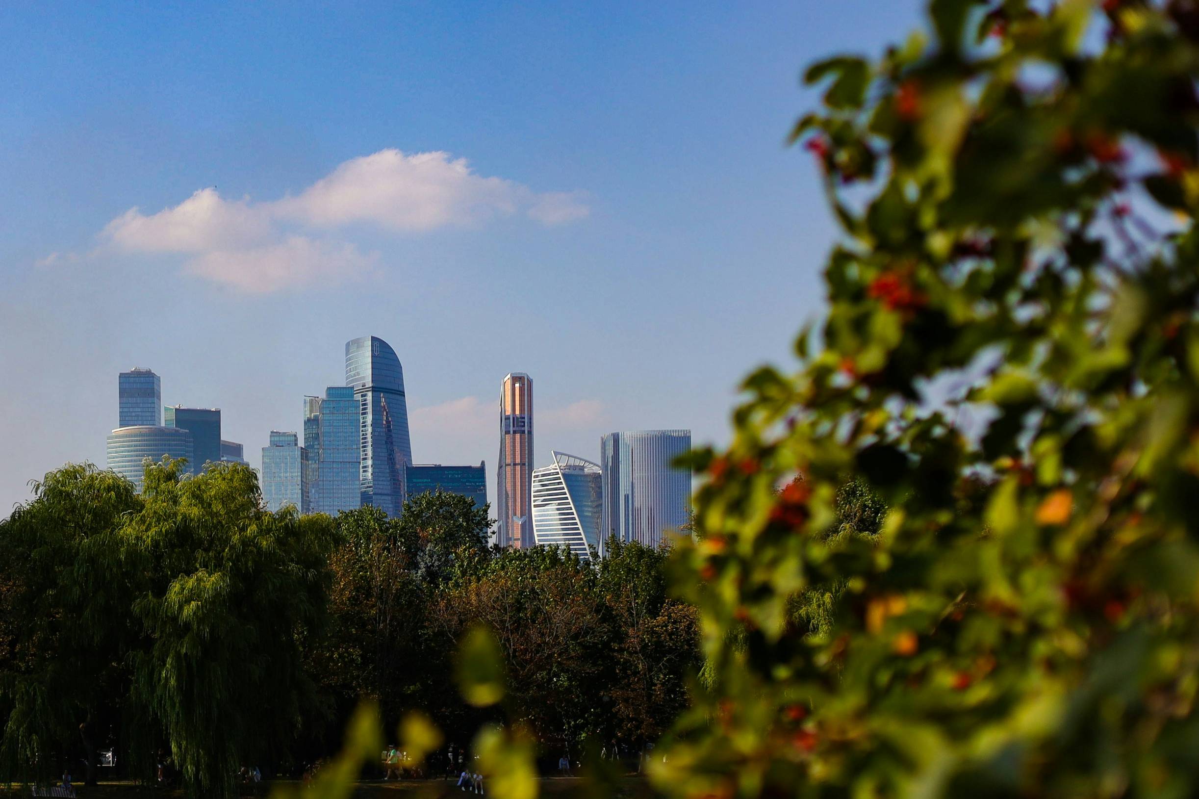 A view of a city from across a lake